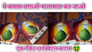 Moksha cotton seeds | Moksha cotton लगाओ और मालामाल बन जाओ | #kisanjitechgyan #Moksha_cotton