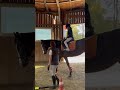 파밀리에승마장 외국인 승마체험 horse dressage equestrian pony riding dressagelife horseriding ponyracing