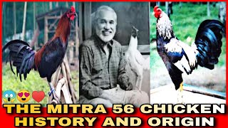 THE HISTORY AND ORIGIN OF MITRA 56 CHICKEN.