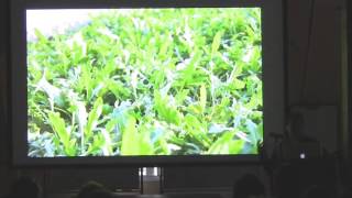 The resilient farm and homestead: Ben Falk at TEDxSIT