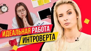 Какие профессии подойдут интроверту? | Университет Синергия