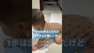 【生後6ヶ月👶】毎日ハイハイの特訓中🤭💗💗【頑張れ✨】#shorts