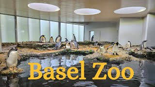 VISITING BASEL ZOO: THE INCREDIBLE DIVERSITY OF ANIMALS AT BASEL ZOO