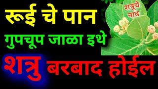 रुईचे पान गुपचूप जाळा इथे शत्रु बरबाद होईल Shatru Nashak Mantra upay in marathi