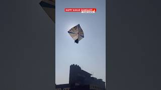 HAPPY #makarsankranti KITE LOVERS 😍 #kite #patang #kiteflying #kites #viralvideo #shorts