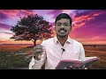 యేసయ్య అంజూరపు చెట్టు jesus and the fig tree bro. daivaprasad leatest christian message