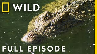 Rivers of Death (Full Episode) | World's Deadliest