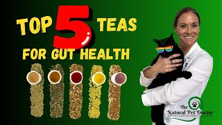 Top 5 Herbal Teas For Pet Gut Health - Holistic Vet Advice