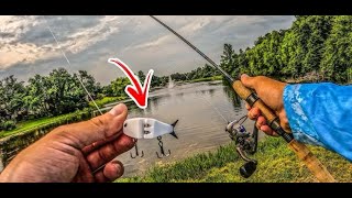 Testing this MICRO GLIDE BAIT!👀(It catches FISH💥)