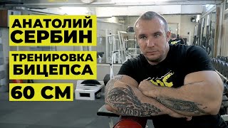 ГАНТЕЛИ ПО 75 КГ НА БИЦЕПС / АНАТОЛИЙ СЕРБИН