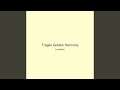Fragile Golden Harmony