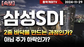 삼성SDI-2중 바닥을 만드는 과정인가? 아님 추가 하락인가?