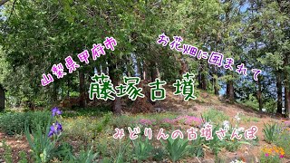 藤塚古墳(山梨県甲府市)をお散歩♪