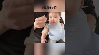 【離乳食】生後6ヶ月👦🏻初バナナ食べたお顔が可愛い(Eating Banana for the first time in his life)