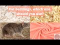 Rat bedding options | which rat bedding is the best? | safe and unsafe rat beddings