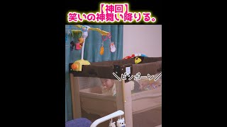 【神回】笑いの神が降臨した生後6ヶ月赤ちゃんに爆笑ｗｗ #Shorts