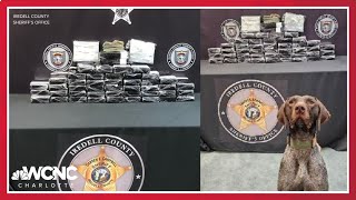 Two arrested after nearly 120 pounds of fentanyl seized in traffic stop