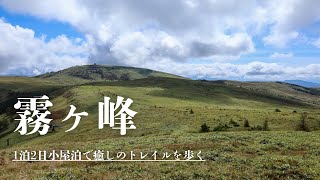 【霧ヶ峰】1泊2日で癒しのトレイルを歩く