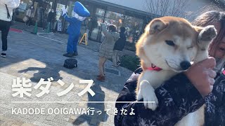 KADODE OOIGAWAにいってきたよ