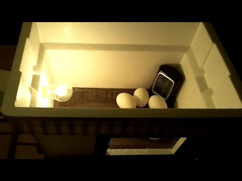 DIY $20 Egg Incubator - How To Make An Egg Incubator, CHEAP and EASY!!! DIY $20 Egg Incubator - How To Make An Egg Incubator, CHEAP and EASY!!!