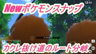 【Newポケモンスナップ】カクレ抜け道のルート分岐！！