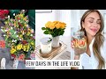 VLOG | Spring Reset, Pregnancy Update & Healthy Dinner Recipe | Annie Jaffrey