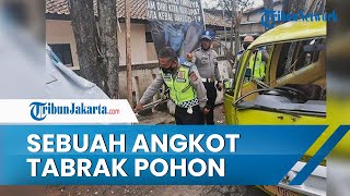 Sebuah Angkot di Lembang Oleng akibat Menabrak Pohon, Sopir Tewas di Lokasi Kejadian