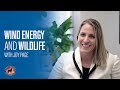 Wind Energy and Wildlife with Joy Page