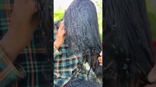 Picking a thousand of lice on hair   How to get rid of lice #hair #wigs  #wiglace#hairlice