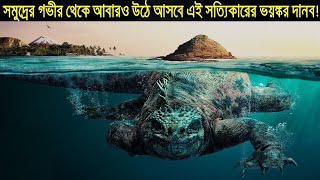 ইতিহাসের সবচেয়ে বড় কচ্ছপ \