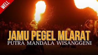 DJ BANTENGAN ‼️ 'PUTRA MANDALA WISANGGENI' ( JAMU PEGEL MLARAT ), RemixerBy AS PROJECT