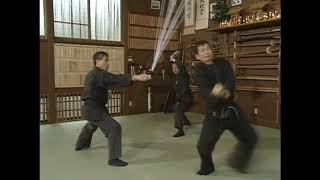 Seno sensei - Gyokko ryu 玉虎流 taihenjutsu 体変術 henka