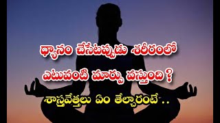 ధ్యానం చేసినప్పుడు శరీరంలో ఎటువంటి మార్పు వస్తుంది? శాస్త్ర‌వేత్త‌లు ఏం తేల్చారంటే.. | What Happen