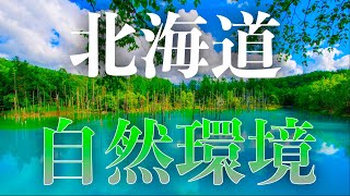 【地理解説】北海道の自然環境：地形と気候の特色