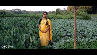 সবজির প্রাচুর্যে ভরা গ্রাম বাংলা // Vegetables of Villages// Gramin Aalo//