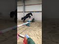 138 jumping pony