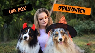 ON OUVRE LA WOUFBOX D'HALLOWEEN ! 🎃