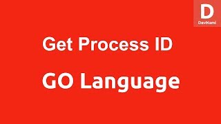 GO Programming Get Process ID