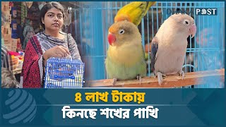 শখের পাখির দাম ৪ লাখ টাকা | পাখির হাট | Bird Market | Most Expensive Bird | Dhaka Post News