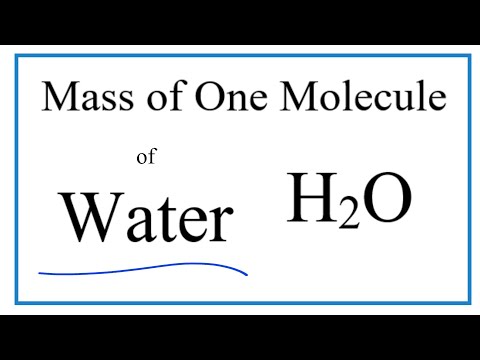 What is the mass in grams of 1 gallon of water?