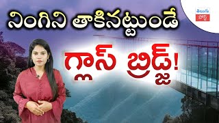 నింగిని తాకినట్టుండే గ్లాస్ బ్రిడ్జ్ #glass bridge #kerala #nature #telugu #post #news