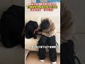 妈妈瞒着儿子买下小黑狗 13岁儿子把惊喜都写在脸上了！（来源：美丽浙江）@小幸运🌾 中国蓝国际culture 興趣