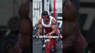 4 Bicep Exercises For Bigger Arms 🔥