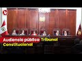 Audiencia Pública de Pleno del Tribunal Constitucional