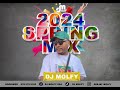 2024 spring mix by dj molfy