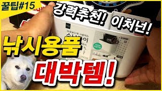 😎낚시용품! 다이소 가성비 끝판왕~ 태클박스에 장착 강력추천합니다!