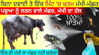 ਮੱਖੀ - ਮੱਛਰ ਦਾ ਪੱਕਾ ਖ਼ਾਤਮਾ.! fly and mosquito killer | cattle fly control • makhi machar