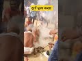 दुर्गा पूजा का रहा माता आदि शक्ति दुर्गा barmohani dham song dance khesari