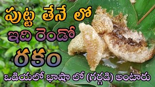 పుట్ట తేనే లో ఇది రెండో రకం గర్గడి honey Nutarlal and pure araku tribal World culture