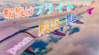 【綺麗な朝日】早朝便 peach 成田ー関西 NRT KIX【低空飛行】